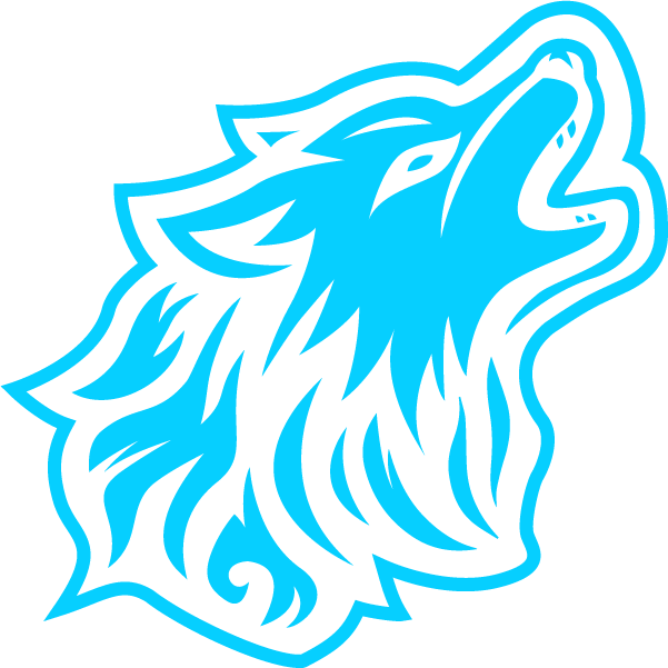 logo ja bruz volleyball cyan